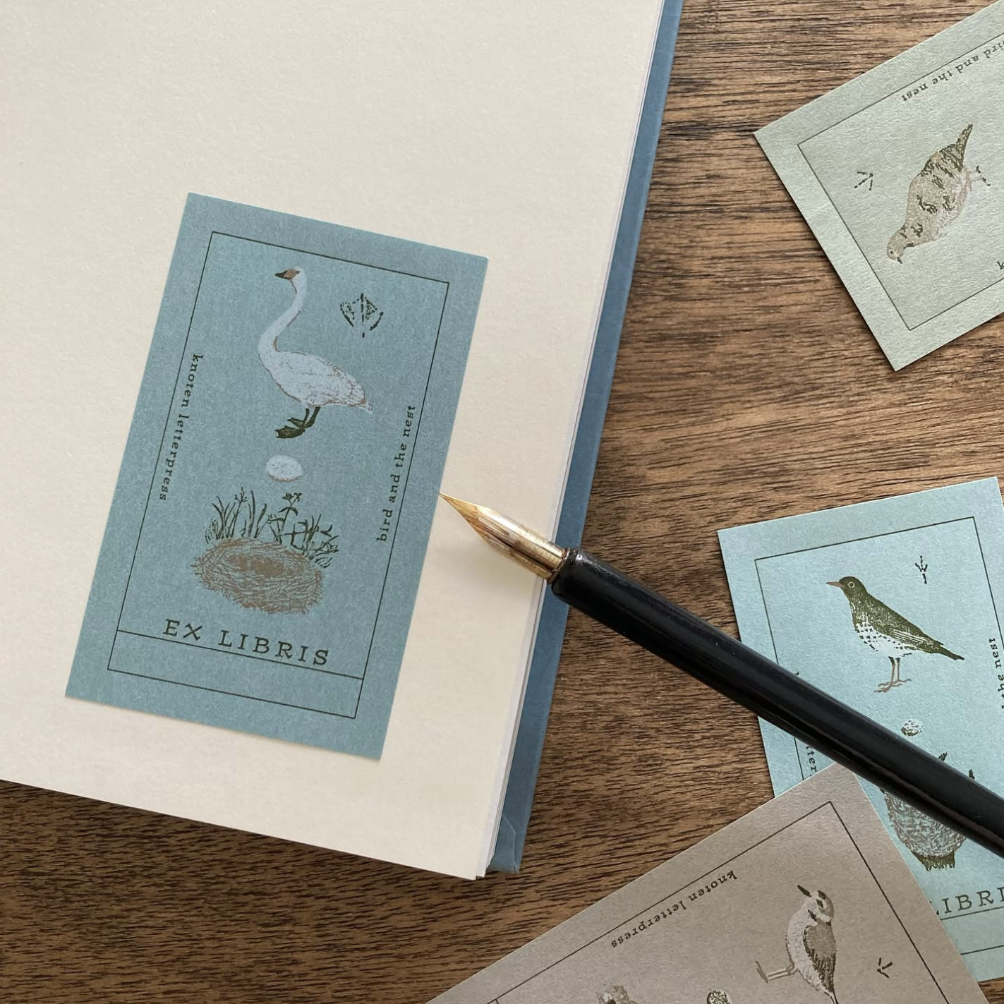 knoten letterpress Bookplate Bird and Nest