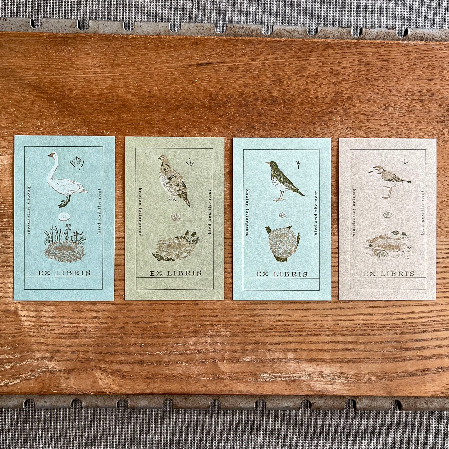 knoten letterpress Bookplate Bird and Nest