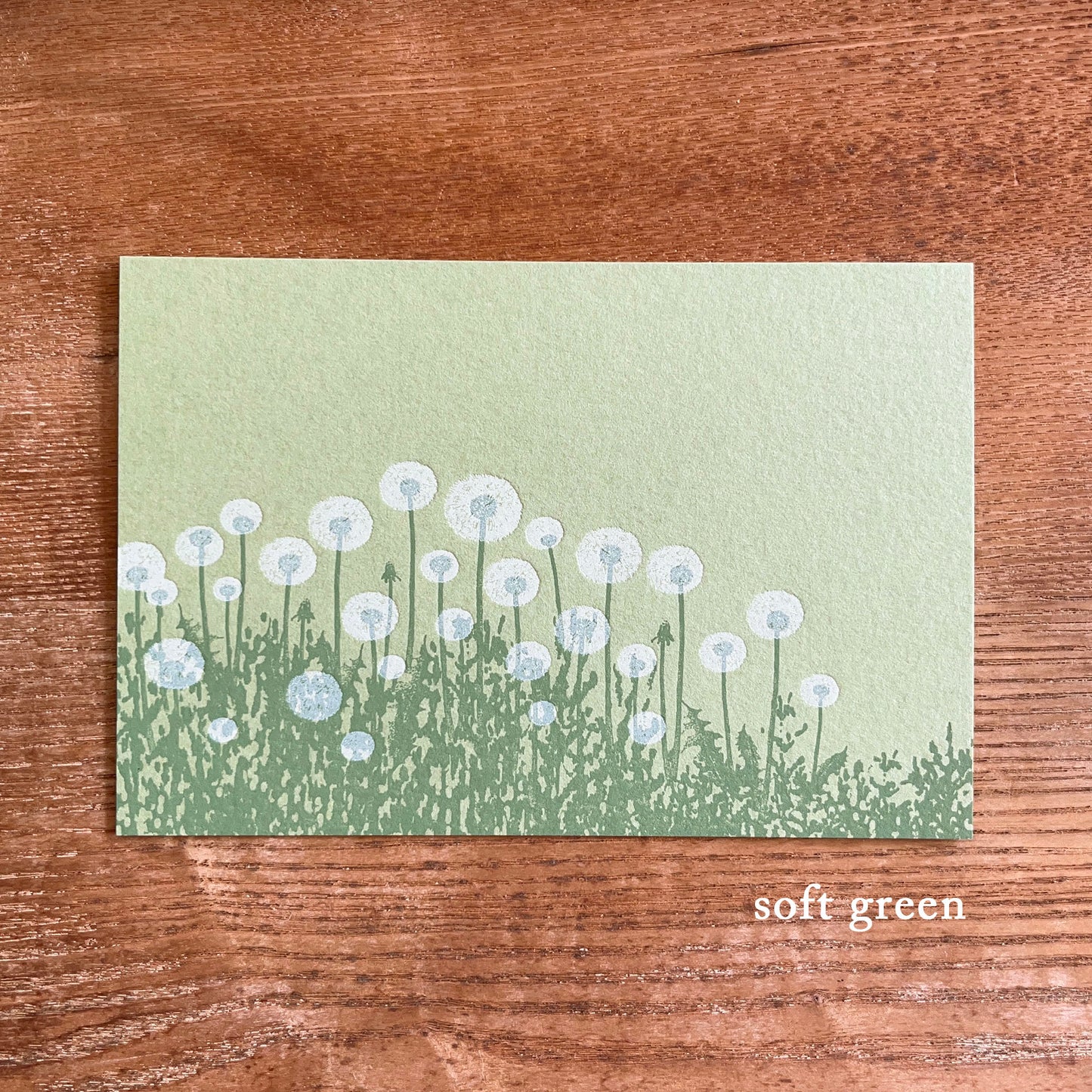 knoten letterpress Postcard Dandelion Fluff