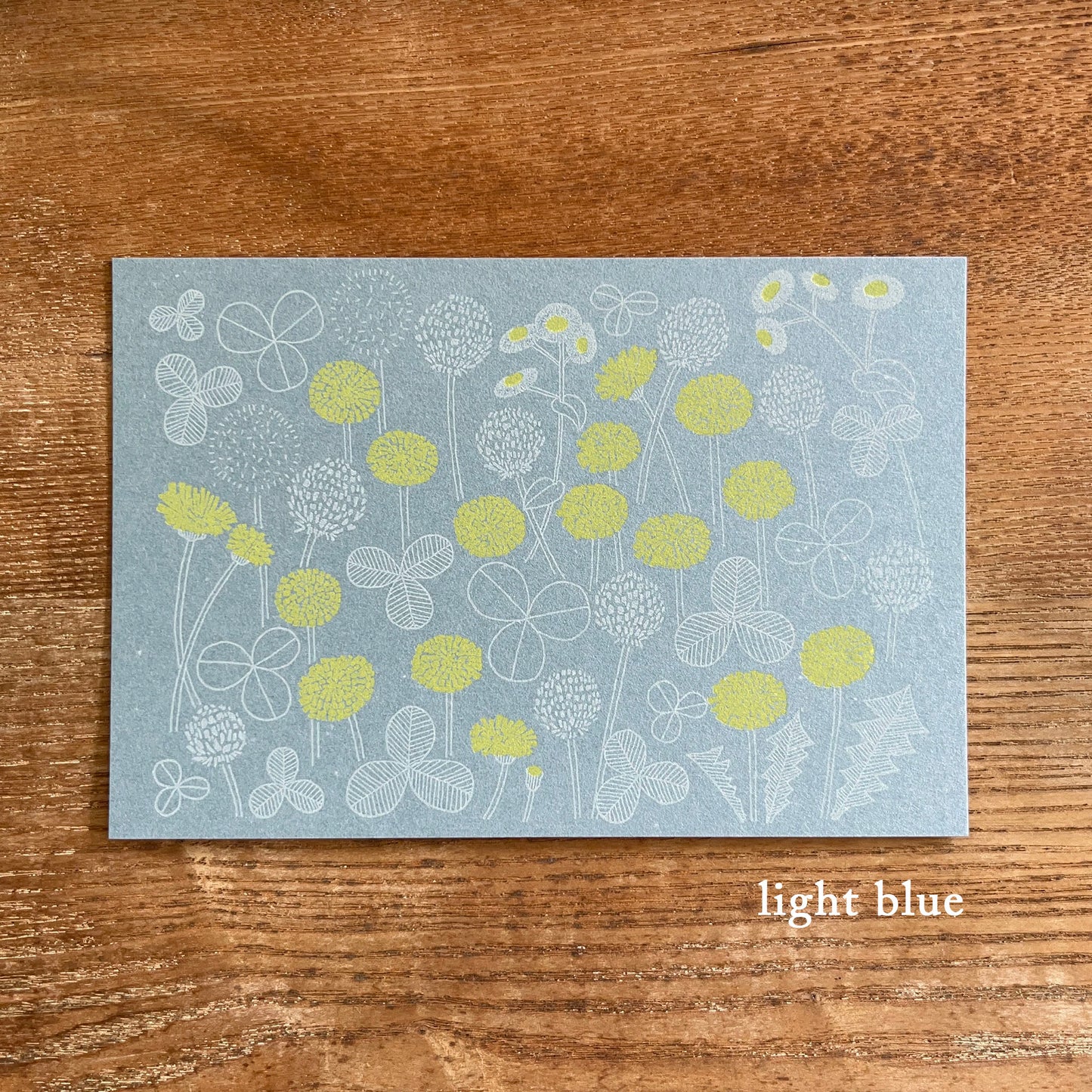 knoten letterpress Postcard Dandelion