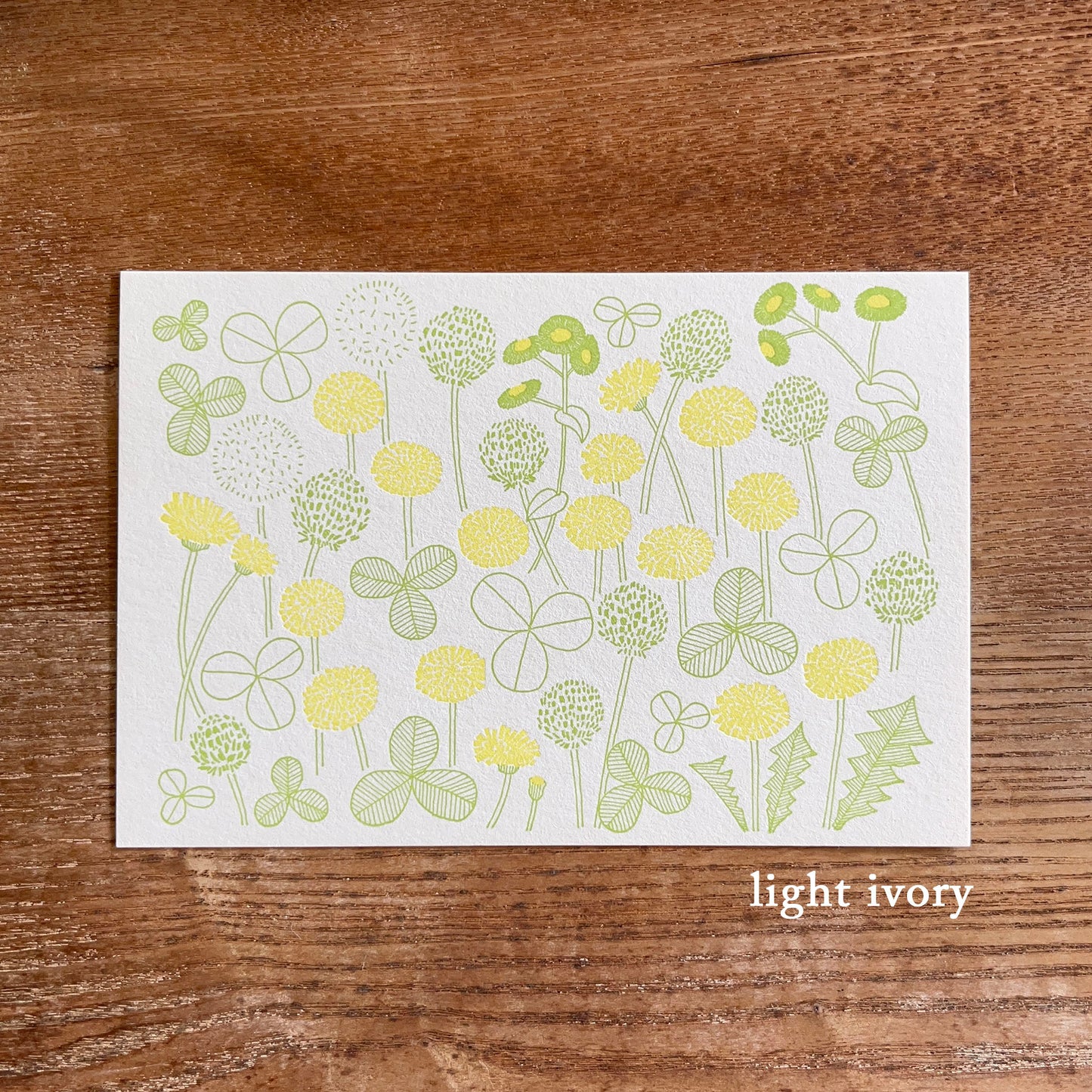 knoten letterpress Postcard Dandelion