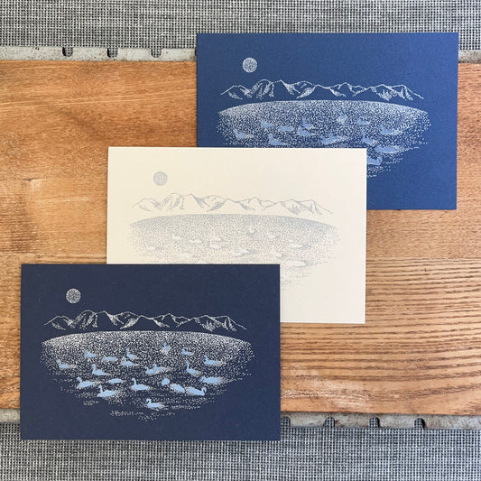 knoten letterpress Postcard Winter Lake