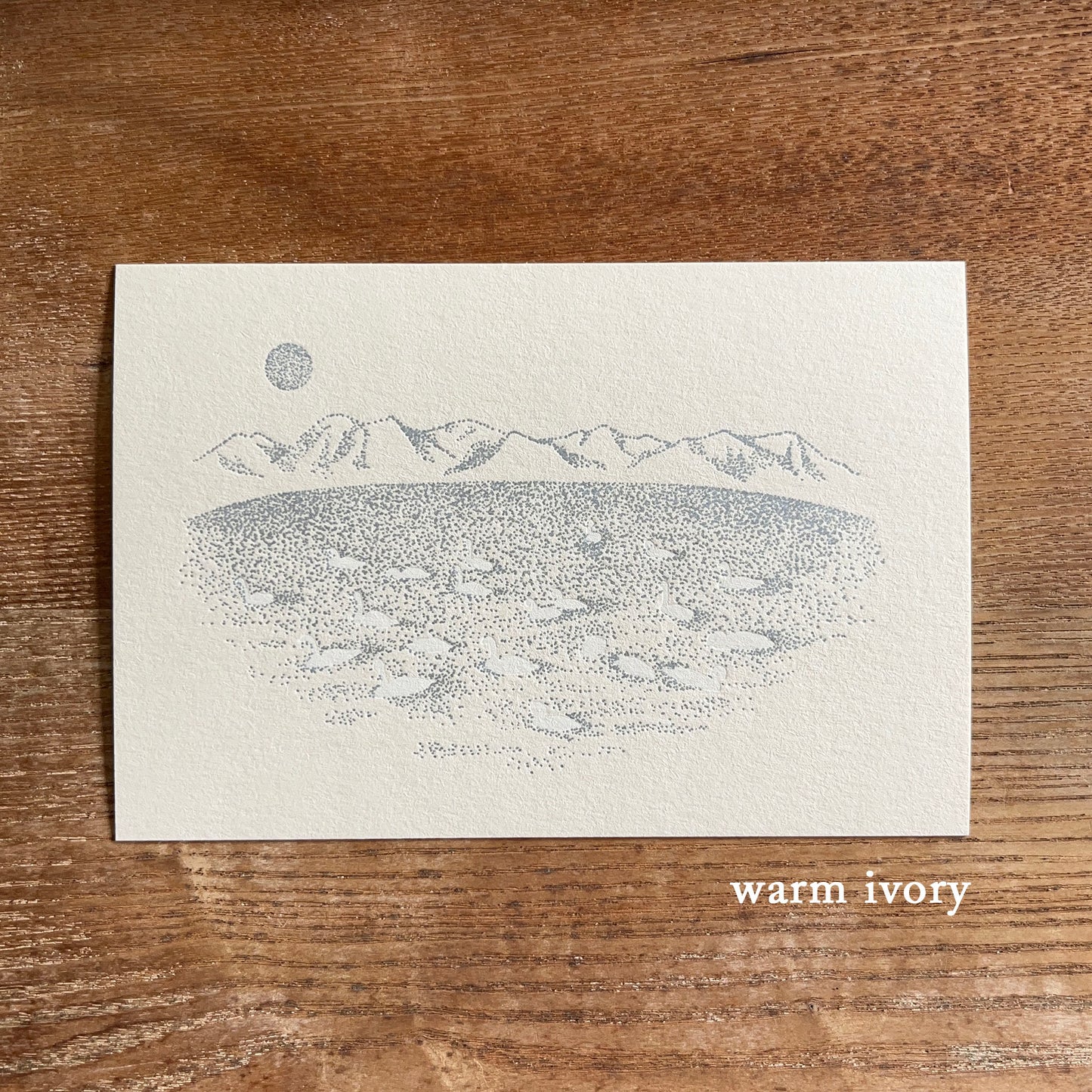 knoten letterpress Postcard Winter Lake
