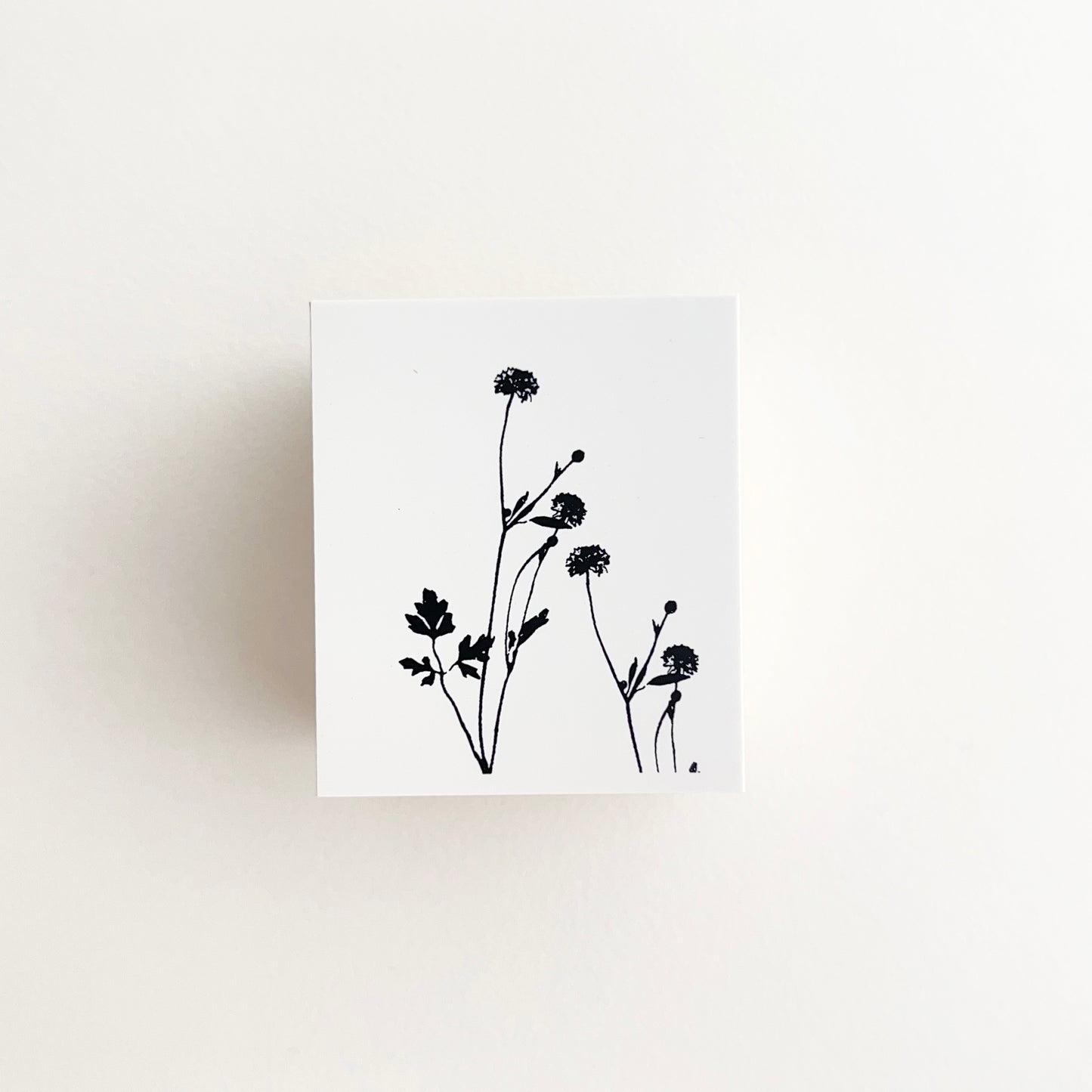 YOHAKU Stamp Natsu no Niwa (Summer Garden)