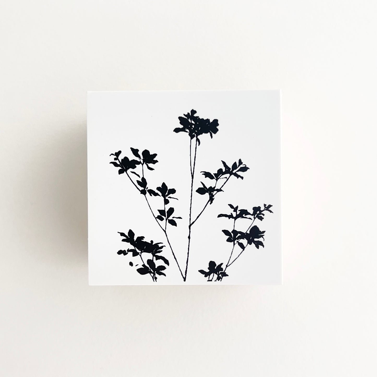 YOHAKU Stamp Enkianthus