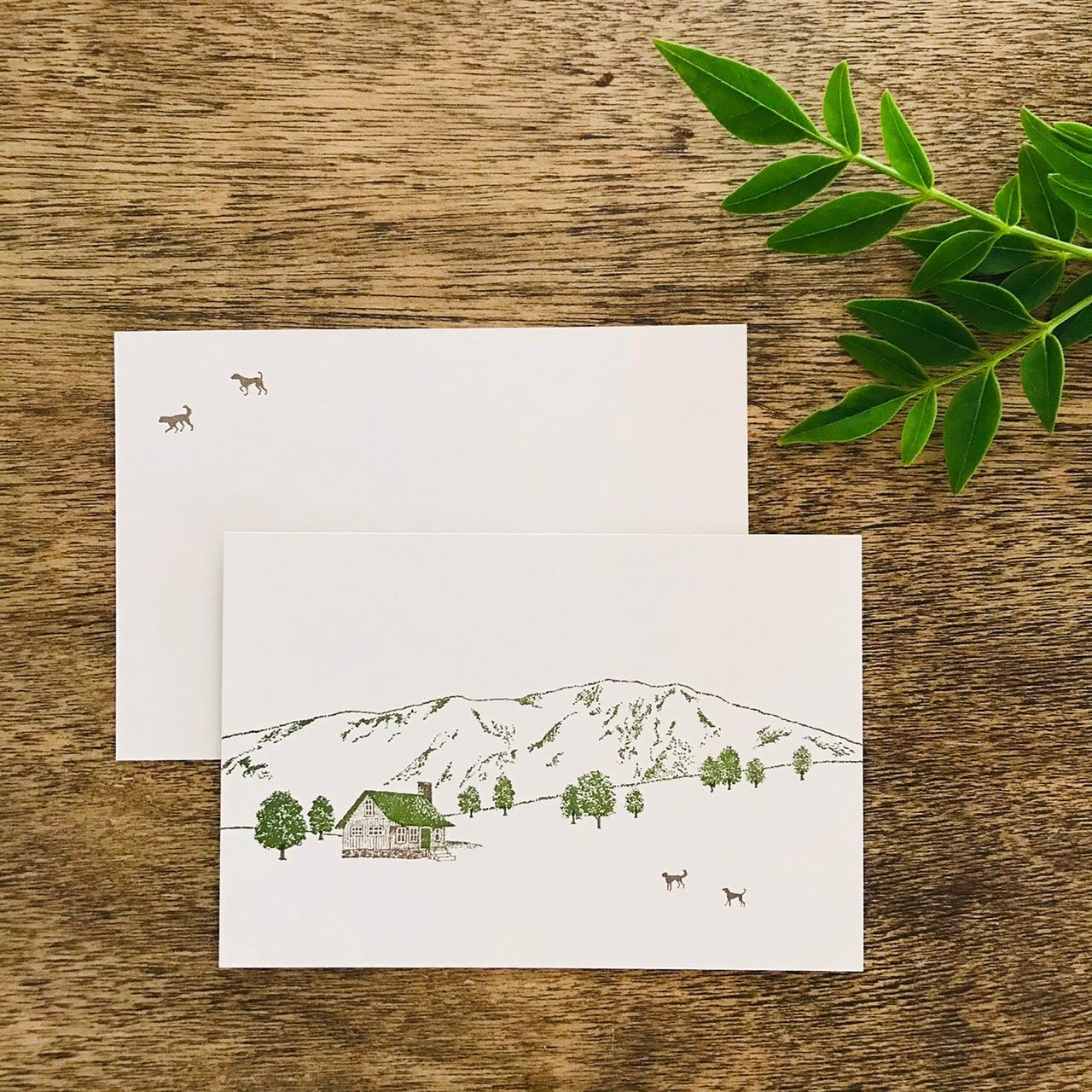 knoten letterpress Postcard Mountain Cabin