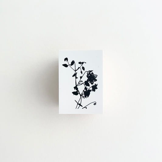 YOHAKU Stamp Clematis