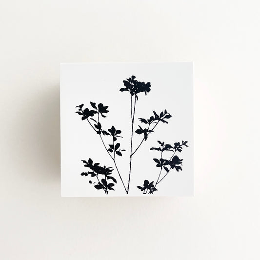 YOHAKU Stamp Enkianthus
